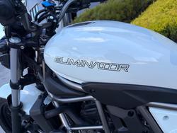 2025 Kawasaki ELIMINATOR