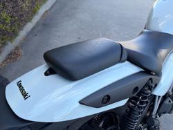 2025 Kawasaki ELIMINATOR