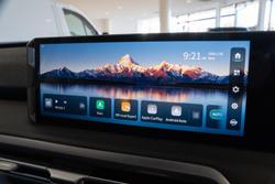 2025 LDV Terron 9 Evolve