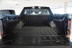 2025 LDV Terron 9 Evolve