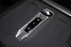 2025 LDV Terron 9 Evolve