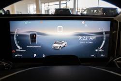 2025 LDV Terron 9 Evolve