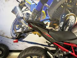 2025 Kawasaki Z900 (ZR900) Grey