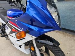 2008 Suzuki GS500F (FULL FAIRING) WHITE/BLUE