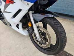 2008 Suzuki GS500F (FULL FAIRING) WHITE/BLUE
