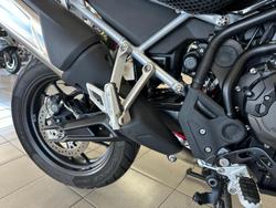 2023 Triumph Tiger 900 GT Pro Tiger Black