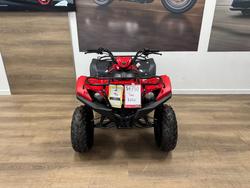 2025 Yamaha 2025 Yamaha 110CC YFM110RS