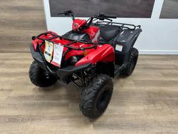 2025 Yamaha 2025 Yamaha 110CC YFM110RS