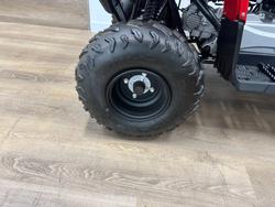 2025 Yamaha 2025 Yamaha 110CC YFM110RS