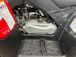 2025 Yamaha 2025 Yamaha 110CC YFM110RS