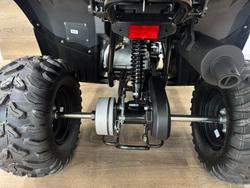 2025 Yamaha 2025 Yamaha 110CC YFM110RS