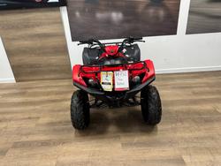 2025 Yamaha 2025 Yamaha 110CC YFM110RS