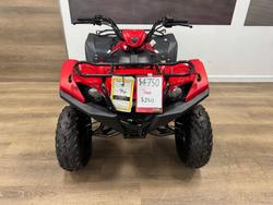 2025 Yamaha 2025 Yamaha 110CC YFM110RS