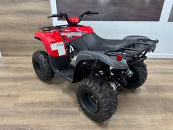 2025 Yamaha 2025 Yamaha 110CC YFM110RS
