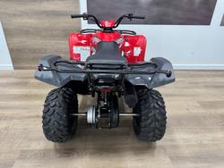 2025 Yamaha 2025 Yamaha 110CC YFM110RS