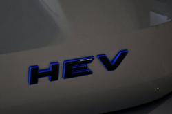 2025 GWM Haval H7 Vanta Hybrid