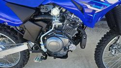 2026 Yamaha TTR125LWE Blue