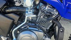 2026 Yamaha TTR125LWE Blue