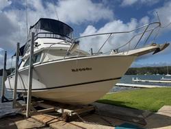 1996 Caribbean 28 FLYBRIDGE CRUISER