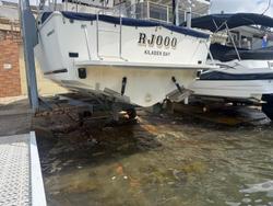 1996 Caribbean 28 FLYBRIDGE CRUISER