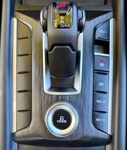 2025 GWM Cannon Premium