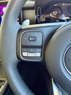 2025 GWM Cannon Premium