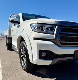 2025 GWM Cannon Premium