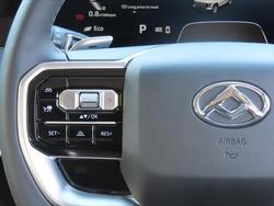 2025 LDV Terron 9 Evolve