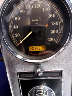 2009 Harley-Davidson Softail Standard 1584 EFI (FXSTI) Softail Blue