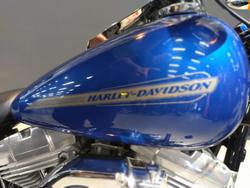 2009 Harley-Davidson Softail Standard 1584 EFI (FXSTI) Softail Blue