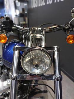 2009 Harley-Davidson Softail Standard 1584 EFI (FXSTI) Softail Blue