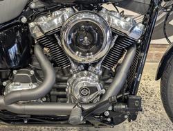 2025 Harley-Davidson Street Bob 117 (FXBB) Softail Black