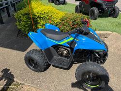 CFMOTO C Force 110 SE