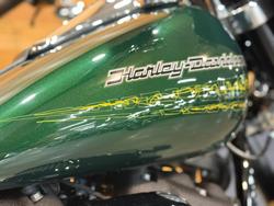 2019 Harley-davidson FLSB SPORT GLIDE Green