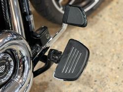 2019 Harley-davidson FLSB SPORT GLIDE Green