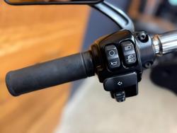 2019 Harley-davidson FLSB SPORT GLIDE Green