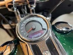 2019 Harley-davidson FLSB SPORT GLIDE Green
