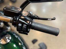 2019 Harley-davidson FLSB SPORT GLIDE Green
