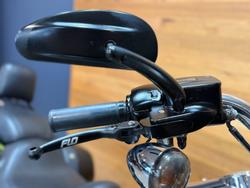 2019 Harley-davidson FLSB SPORT GLIDE Green