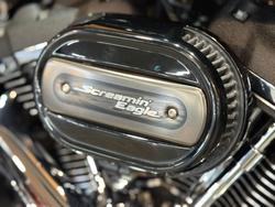 2019 Harley-davidson FLSB SPORT GLIDE Green