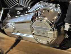 2019 Harley-davidson FLSB SPORT GLIDE Green