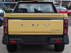 2025 LDV Terron 9 Evolve