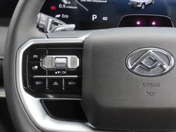 2025 LDV Terron 9 Evolve