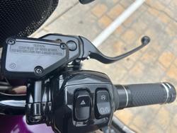 2025 Harley-Davidson CVO Street Glide 121 (FLHXSE) Touring