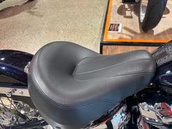 2020 Harley-Davidson Deluxe 107 (FLDE) Softail Blue