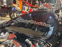 2020 Harley-Davidson Deluxe 107 (FLDE) Softail Blue