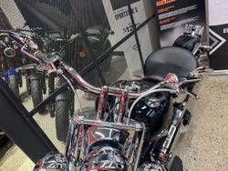 2020 Harley-Davidson Deluxe 107 (FLDE) Softail Blue