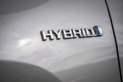 2021 Toyota RAV4 Cruiser