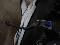 2024 BMW Motorrad S 1000 RR White