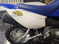 2009 Yamaha TTR50E BLUE